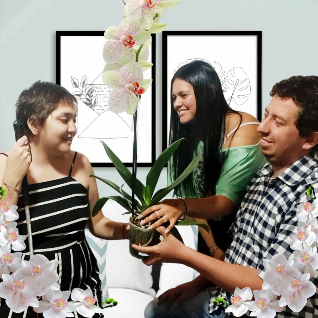 Felicidad, amistad, orquídeas